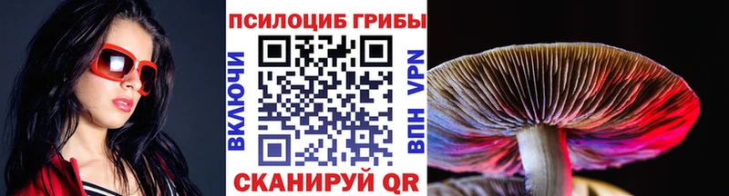 Галлюциногенные грибы MAGIC MUSHROOMS  цена наркотик  Чехов 